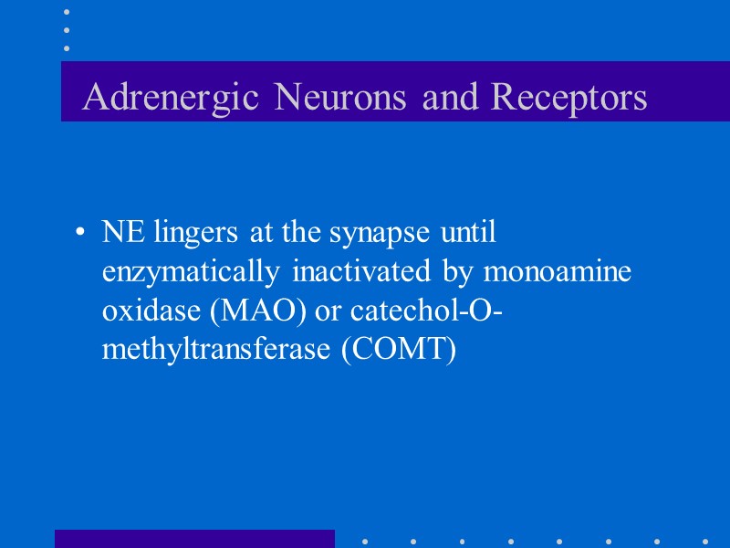 Adrenergic Neurons and Receptors NE lingers at the synapse until enzymatically inactivated by monoamine